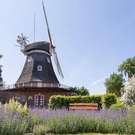 Ferienhaus Hausboot 